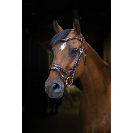 Bridon Eric Thomas Pro Design