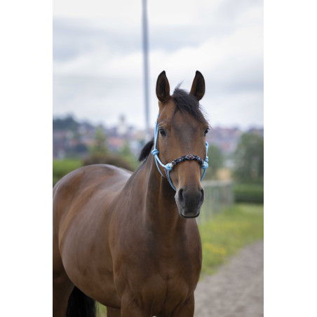 Licol éthologique Norton Pearl