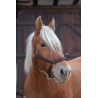 Licol Norton Pro pour cheval de trait - Marron