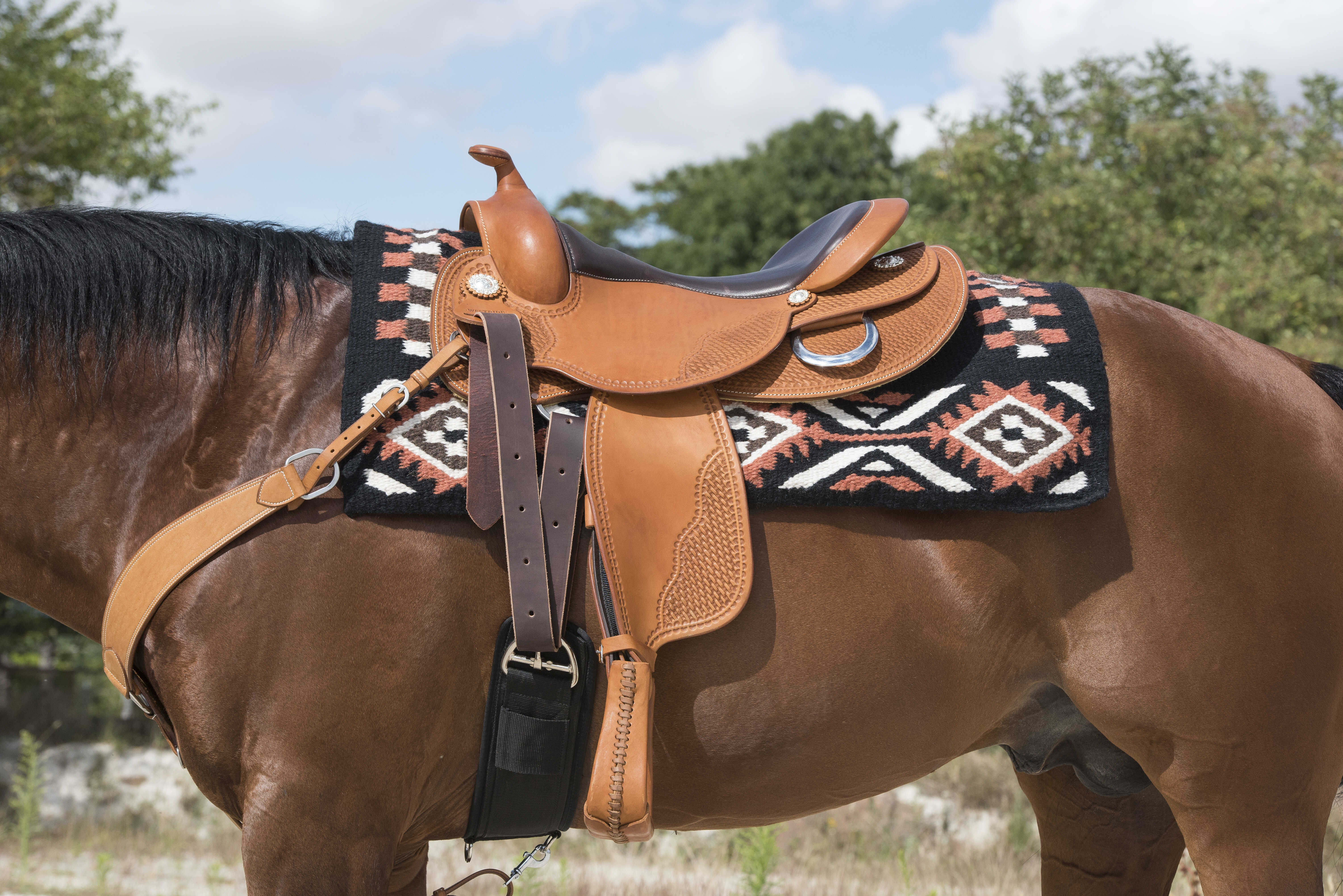 Selle Westride by Franck Perret Aurora Noisette Marron