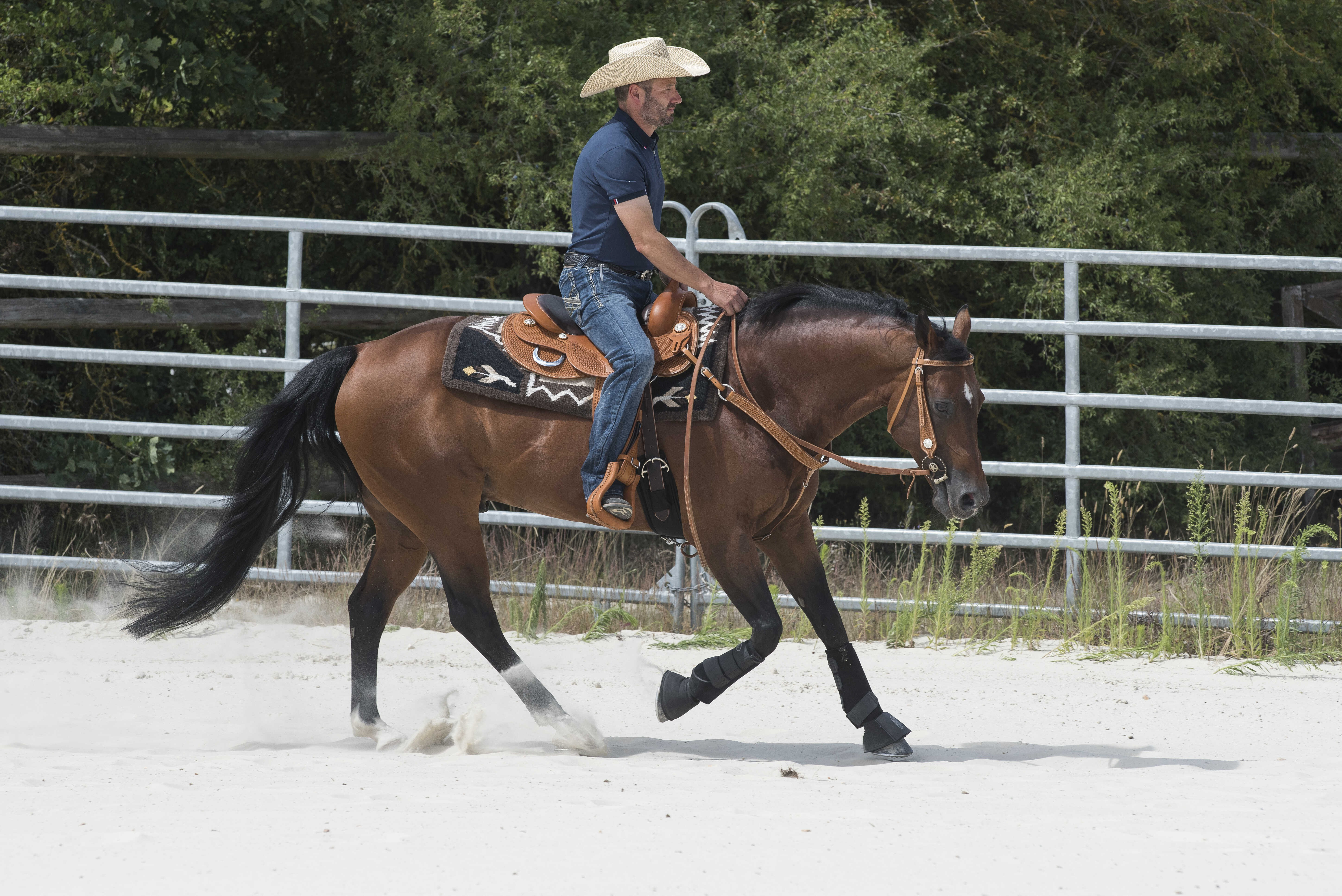 Selle Westride by Franck Perret Aurora Noisette Marron