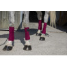 Bandes de polo Riding World Eco - Bordeaux
