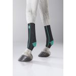 Equicrown Active - Posterior Equicrown Active - Posterior