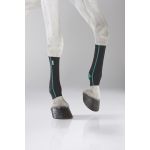 Equicrown Active - Posterior Equicrown Active - Posterior