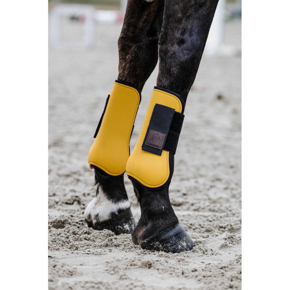 Guêtres équitation fermées Cheval et Poney - Poly 500 noires x2