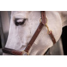 Licol cuir 3 mousquetons Paddock Sports - Havane