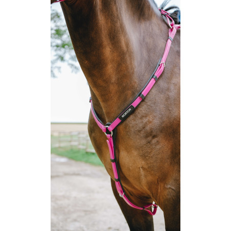 Collier de chasse Endurance Norton Pop