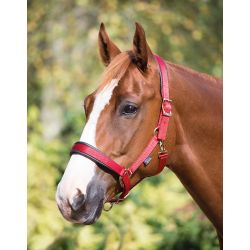 Shires pratique Cintre