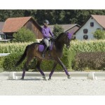 Bandes de polo poney LeMieux Cassis / Blackcurrant