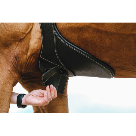 Sangle bavette Magnet Norton