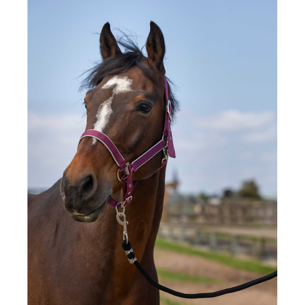 Chemise De Sport Equine Couture Nicole Equicool - Rose - Taille M - Neuf