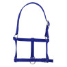 Licol foal Riding World - Bleu roi