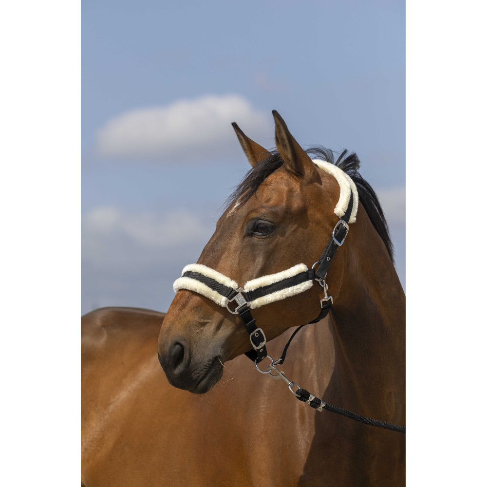 Licol LeMieux Anatomic pour cheval