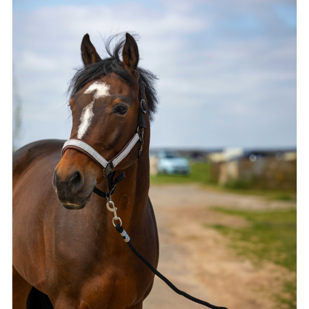 Licol Equithème Nylon Check