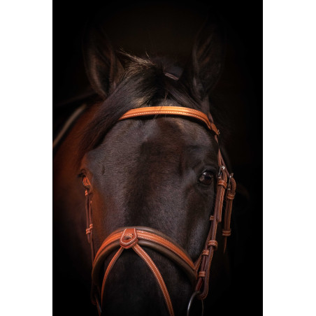 Bridon Pénélope Elégance