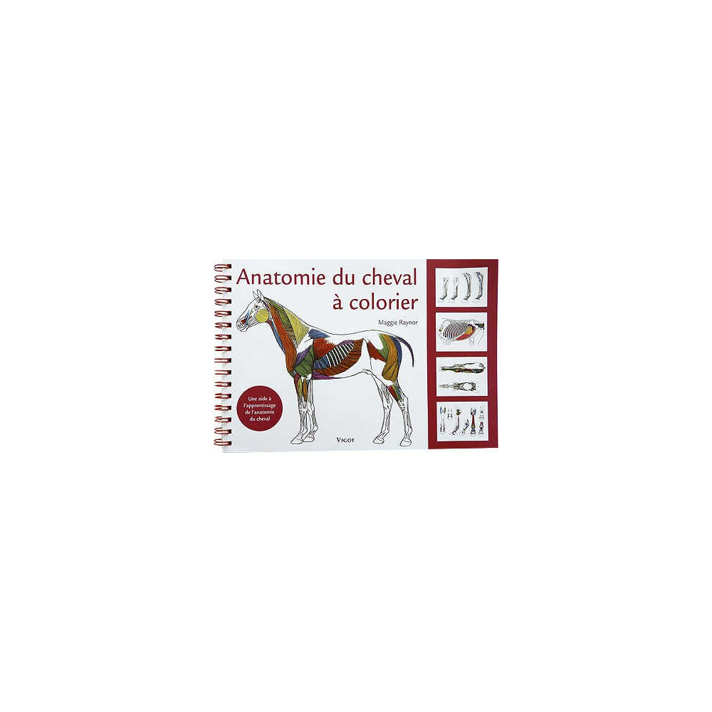 Livre à colorier d'anatomie du cheval