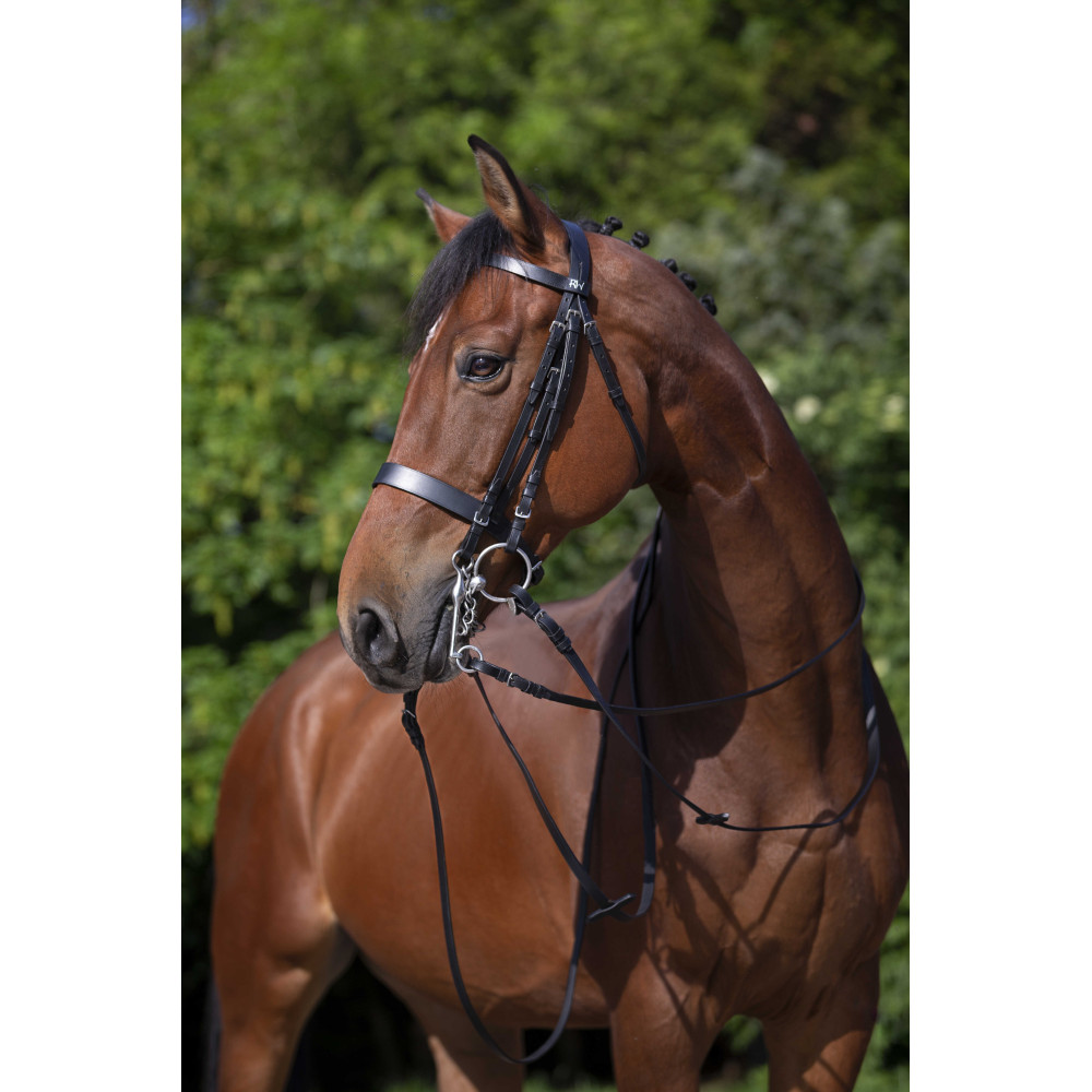 Bride d'équitation Norton Pro Shiny en cuir avec strass