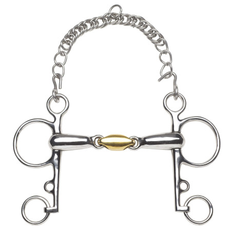 Mors Pelham Feeling Anatomic branches courtes cyprium