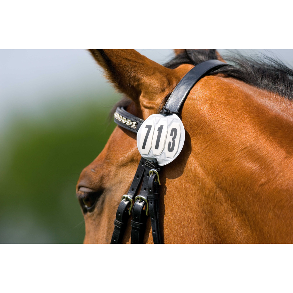 Porte numéro Dy'on - Cheval/Tapis de selle mixtes - sellerie-de-peruwelz
