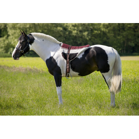 Tapis de monte à cru Norton