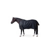 Couverture d'extérieur Glasgow 100g poney Horze 600D - Myrtille