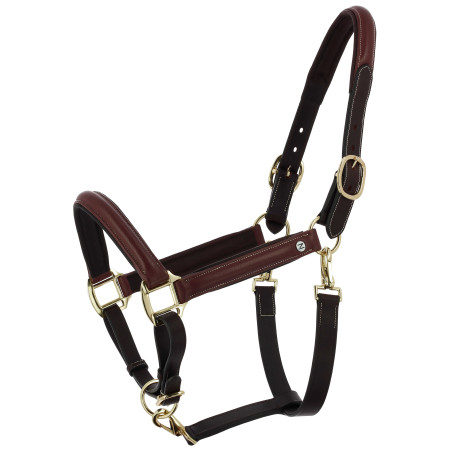 Licol grooming cuir huilé Norton Spring