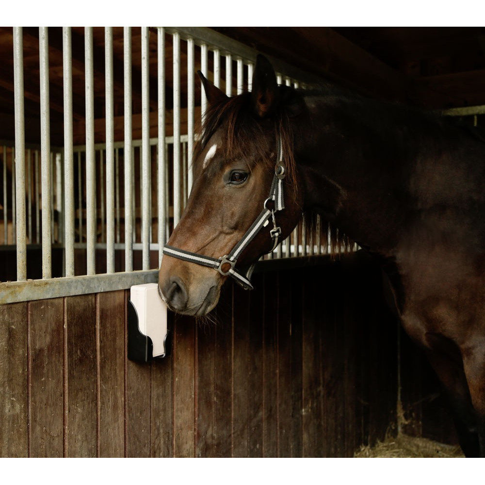 Pierre à sel à lécher minéral EQUISAL pour Chevaux - PAR 4