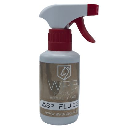 MSP Fluide WPB Group