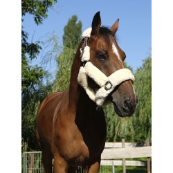 EQUI-TH/ÈME Licol Mouton V/éritable