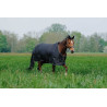 Couverture Equithème TYREX 600D - Vert