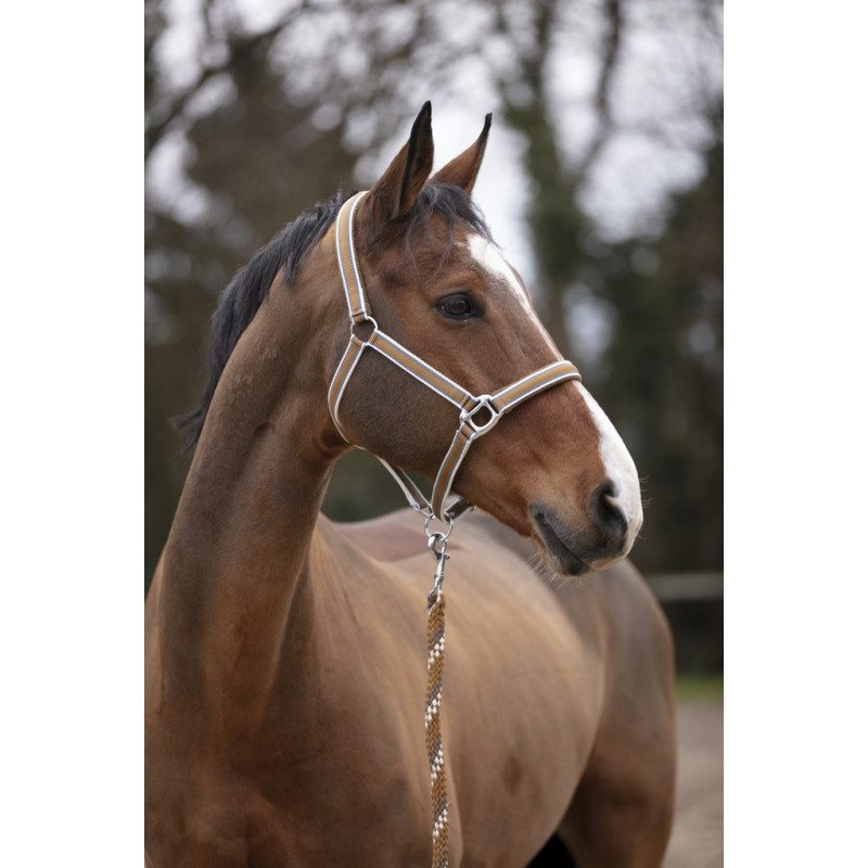 Taille Cheval - Licol plat Noir - Collection Hiver | Three Horses