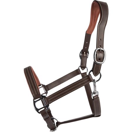 Licol cuir Signature by Antares anatomique