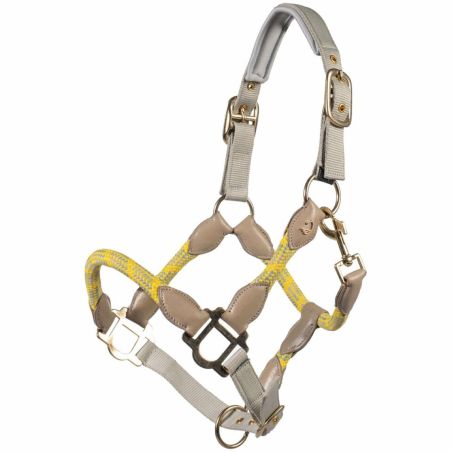 Licol Lauria Garrelli Limone Sportive