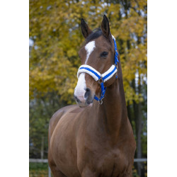 HURRISE Licou de cheval Couleur rouge d'accessoires d'équitation de licol  de contrôle de bride de cheval de sangle épaissie de - Cdiscount