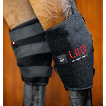 Protège-jarret de Thérapie Horseware par lumière rouge LED