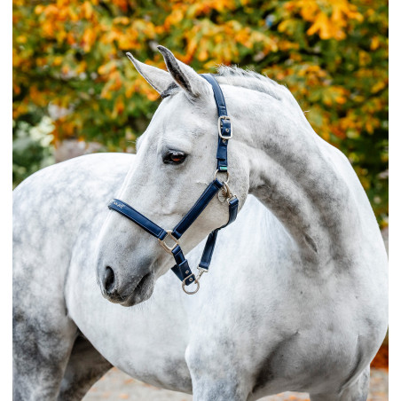 Licol de Pansage Horseware