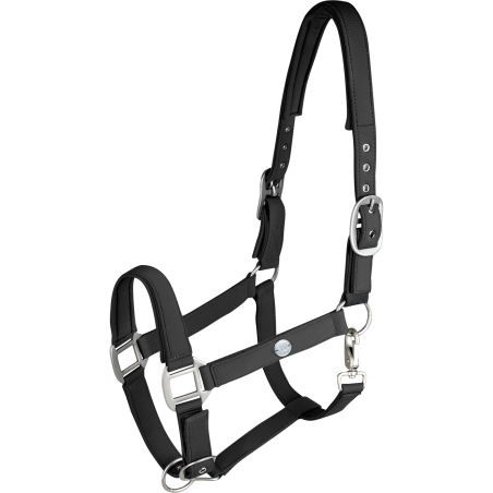 Licol Waldhausen Trinidad