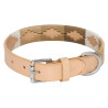 Collier du chien HV Polo Chaya - Champagne