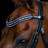 Frontal Imperial Riding Maxima - Saphir