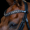 Frontal Imperial Riding Maxima - Blanc / noir