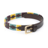 Ceinture Shires Drover Skinny Polo - Jaune / vert / violet