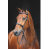Bridon Fairford Salisbury Shires - Noix australienne