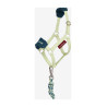 Licol et longe Vogue Hobby Horse LeMieux - Macaron