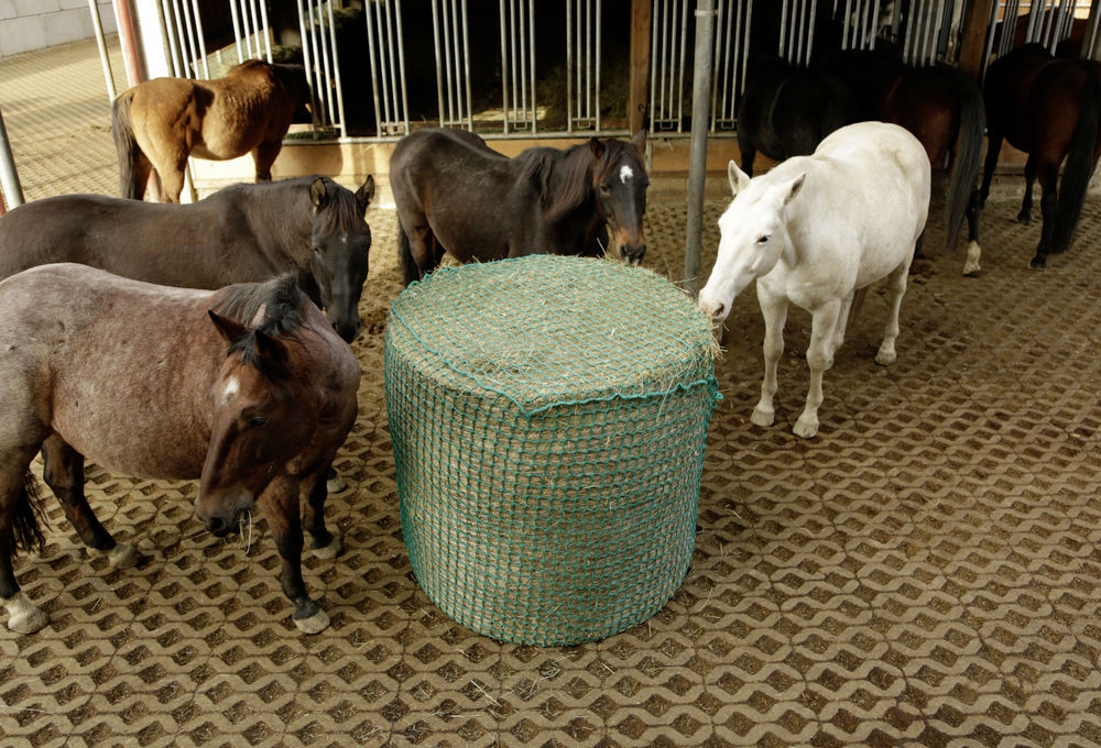 Filet à foin pour balles rondes Kerbl Vert