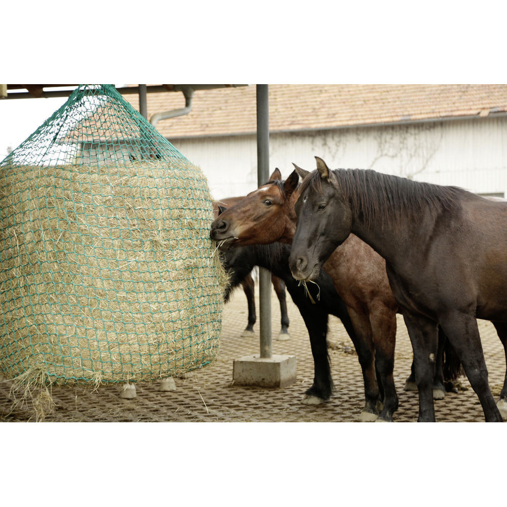Filet à foin pour balles rondes Kerbl • Chevaux, poneys, ânes, lamas