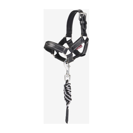 Longe et licol en cuir LeMieux Toy Pony