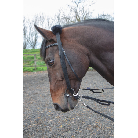 Adaptateur de longe Shires
