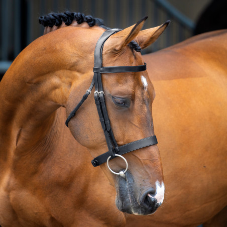 Bridon à caveçon Hunter Shires Velociti Lusso