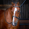 Bridon à caveçon Hunter Shires Velociti Rapida - Noir