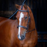 Bridon à caveçon Hunter Shires Velociti Rapida - Havane